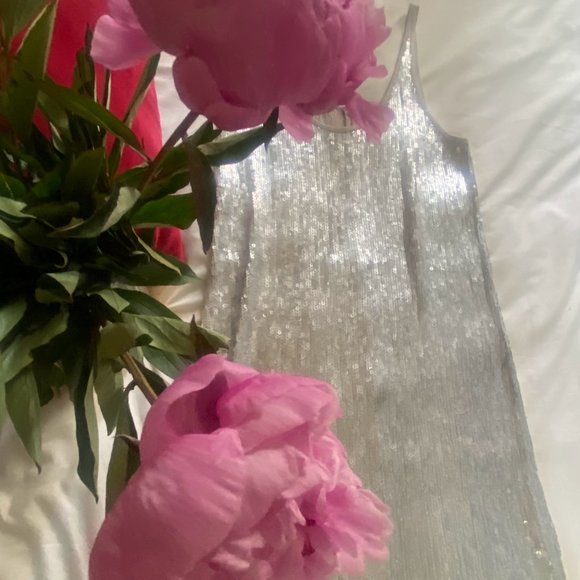 Chan Luu silver, sequined minidress - nwot - size small - Picture 2 of 6